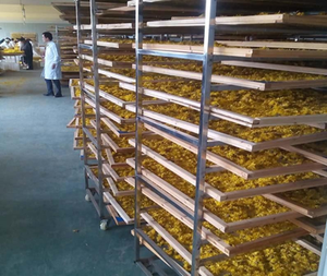 Deshidratador de Alimentos Comercial Industrial <span class=keywords><strong>GOFUN</strong></span>, Máquina de Secado de Frutas y Verduras, Acero Inoxidable SUS 304, Capacidad de 1200 kg, 380/440 V, CE - Product Image 2