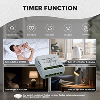 Disjoncteur Zigbee 2026 Tuya pour Maison Intelligente, Mini Module Interrupteur Intelligent, Commande Vocale Alexa & Google Home