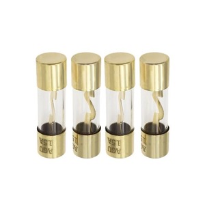 Fusible de Vidrio para Amplificador de Audio para Auto AGU, 10*38mm, Totalmente Chapado en Oro, 10A/30A/50A/60A/80A/100A, Baja Capacidad de Ruptura, Fusible de Acción Rápida - Product Image 3