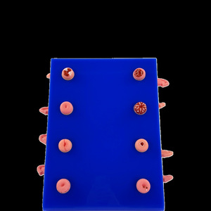 Matériel pédagogique de simulation gynécologique : Modèle de lésion utérine médicale ; 8 modèles anatomiques de malformations utérines. - Product Image 2