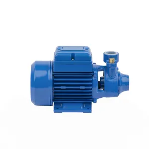 Factory Direct Sales 1hp Rate Water Motor Pumps Home Solar Dc Surface Water Pumps