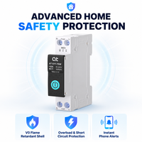 Interrupteur intelligent WiFi 63A 1P avec boîtier en plastique PA66, mesure de la puissance, relais temporisé et télécommande sans fil