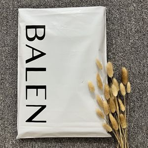 Strong Self Adhesive Poly Mailer Courier Envelope Shipping Express Electronic Commerce Shoes Clothing Packaging Mailing Bag - Product Image 4