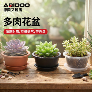 Maceta de Plástico Minimalista Estilo Coreano Airi Shield para Suculentas con Orificios de Drenaje - Product Image 4