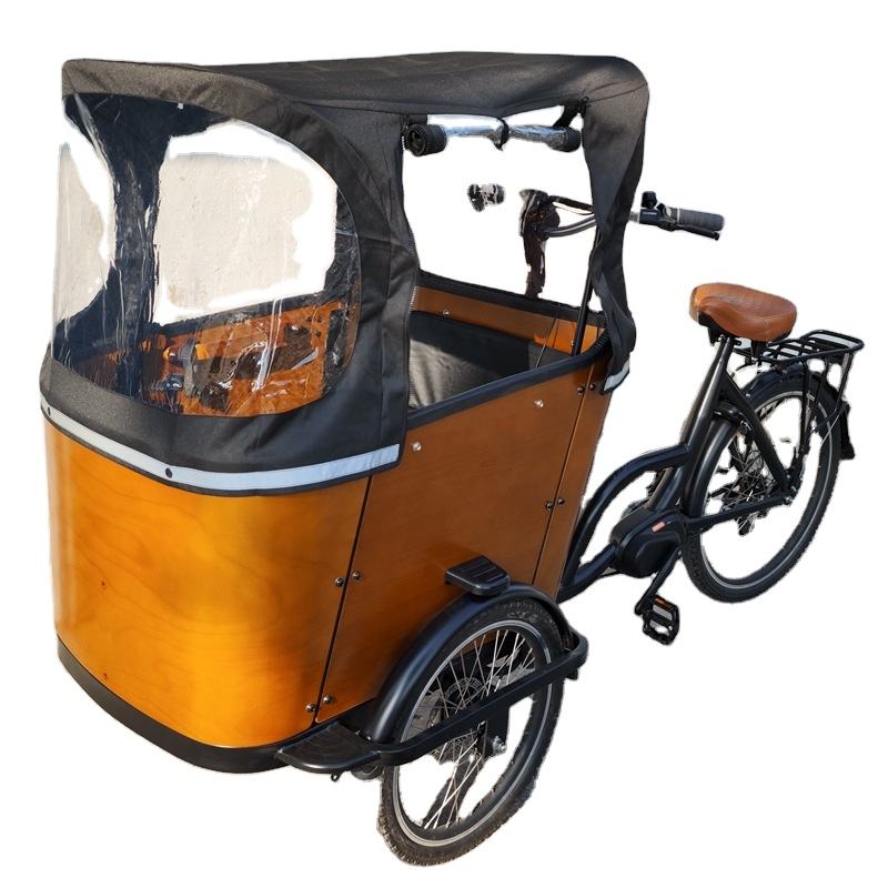 60v Electric Cargo Tricycle for Delivery and Parent-Child Biking