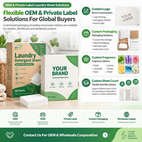 Feuilles de lessive jetables personnalisées, grande capacité, pack familial, écologiques, détachantes, détergent en feuilles, usine OEM ODM