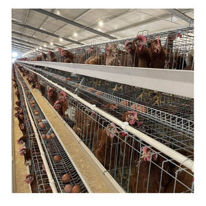 Tel örgü poulailler katlanabilir tavuk kafes 1880*2320*1830 kümesleri - Product Image 2