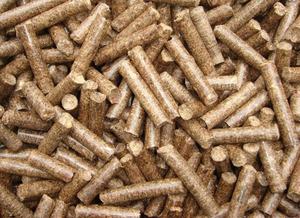 Machine de fabrication de granulés de carburant biomasse 2.8t \ h Philippines - Product Image 2