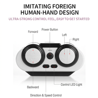 Jouet populaire pour animaux de compagnie : Voiture télécommandée USB rechargeable pour chat, jouet portable avec plumes interchangeables, pour la vente en gros aux magasins de fournitures pour animaux.