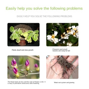 Fertilizante en Solución Nutritiva <span class=keywords><strong>para</strong></span> Rosas y <span class=keywords><strong>Orquídeas</strong></span> en Maceta, Uso en Jardinería Doméstica - Product Image 3