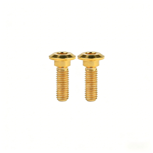 Vis à tête hexagonale en titane Fasto Supply CNC M3 M4 M5 M6 M8 pour potence de guidon de vélo - Product Image 1