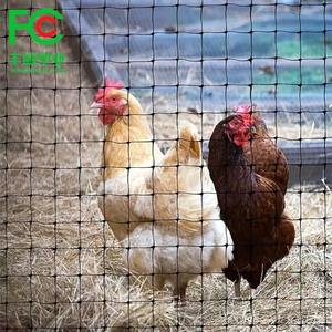 <span class=keywords><strong>Red</strong></span> para Canary Bird Hunting Cutting Service Mist Net Rede Para Captura Passaros - Product Image 6