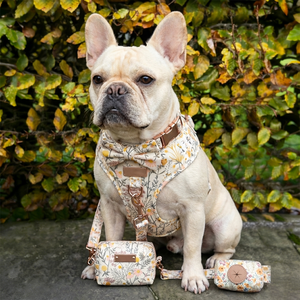 OKKPETS OEM/ODM harnes anjing harga grosir bundel <span class=keywords><strong>Harness</strong></span> leher dapat disesuaikan stok pabrik Set <span class=keywords><strong>Harness</strong></span> hewan peliharaan - Product Image 3