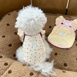 New summer style dog <b>clothes</b>, simple star-patterned suspender dress, cute little flutter sleeves, pet <b>cat</b>, Bichon Frise, Teddy - Product Image 2