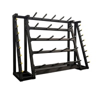 Support de rangement pour plaques de musculation multifonctionnel en acier pliable pour l'aérobic et les équipements de fitness, support pour plaques de poids, haltères