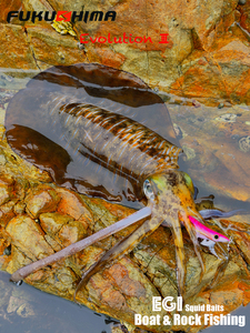 FUKUSHIMA 3.5 21G EGI JIGS Laser verre brisé Flash nuit lueur son en bois crevettes leurre poisson calmar appât - Product Image 6