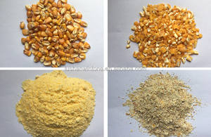 Wintone nsima ugali เครื่องบดอาหารข้าวโพดสำหรับโม่แป้งในมาลาวีดีไซน์ใหม่จากจีน - Product Image 6