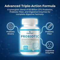 WELLBODY Vente en gros Capsules Probiotiques 3-en-1 pour la Santé Intestinale Fibres Prébiotiques Enzymes Digestives Restauration de la Microflore Intestinale