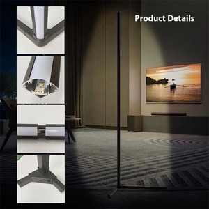 Moderna lampada <span class=keywords><strong>da</strong></span> terra a LED minimalista luce d'angolo telecomando dimmerabile lampada <span class=keywords><strong>da</strong></span> letto <span class=keywords><strong>camera</strong></span> <span class=keywords><strong>da</strong></span> letto illuminazione ambiente - Product Image 2