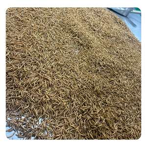 Aliments pour tilapias et truites Vers de farine séchés Une catégorie populaire d'aliments secs - Product Image 4