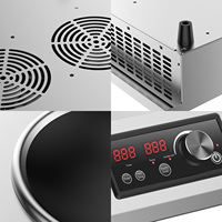 Table de cuisson à induction électrique haute puissance 220V avec double plaque chauffante 3.5KW, 8 niveaux de puissance, commande par bouton et poignée