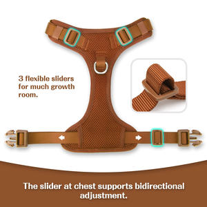 Arnés Ajustable de Nailon Suave y Transpirable para Perros, con Correa para el Pecho y Collar para Cachorros, Gatos y Mascotas Pequeñas, Talla M, en Stock - Product Image 2