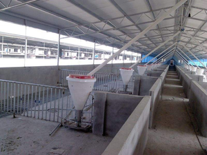 Nouveau Mangeoire Automatique pour Porcs – Bac à Alimentation Sèche et Humide pour Porcelets et Porcs en Croissance pour Fermes et Porcheries - Product Image 5