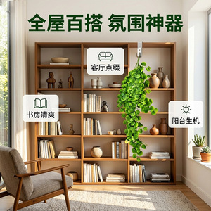 Planta Artificial Decorativa de Pared con Hojas de Dinero, 100cm-200cm, Decoración de Interiores, Hojas de Alta Simulación, Decoración del Hogar - Product Image 3