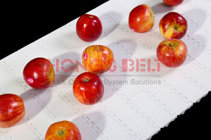 Hongsbelt Platte Top Modulaire Transportband Voor Fruit Industrie - Product Image 4