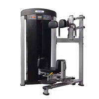 Machine de Rotation de torse de gymnastique professionnelle Logo personnalisé équipement de Fitness d'entraînement de force d'intérieur pour les clubs à domicile pour la musculation