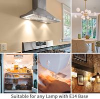 Ampoule LED profonde E14 à intensité variable sans scintillement AC220V lampe turque remplacer les ampoules 5W pour réfrigérateur hotte de cuisine couture résidentielle