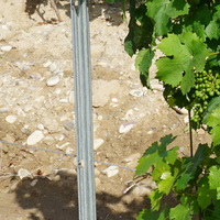 Alternative durable aux piquets de vigne en bois-plastique, acier galvanisé, dure des décennies, sans pourrissement