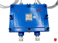 Sonda de Temperatura PT100 RTD para Áreas Peligrosas con Carcasa Antideflagrante Ex Db I Mb, para Atmósferas Explosivas de Metano, Clasificación IP66, Acero Fundido