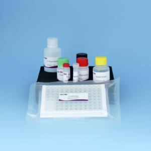 <span class=keywords><strong>Kit</strong></span> ELISA pour maladie cutanée grumeleuse | Test d'anticorps 96T bovin LSDV | <span class=keywords><strong>Kit</strong></span> de <span class=keywords><strong>diagnostic</strong></span> vétérinaire pour bétail - Product Image 5