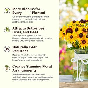 Kit da giardino per pacchetti di fiori tutto perenne Shasta Daisy per la primavera autunnale attira gli impollinatori per la coltivazione di fiori - Product Image 5
