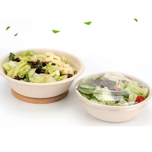 Tazón de pulpa de bambú biodegradable blanco personalizado, tapa de supermercado, promoción de comestibles para almacenamiento de contenedores de alimentos, sin impuestos, fuente de dinosaurios - Product Image 1