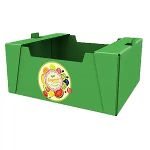 Gegolfd Plastic Fruit Doos Containers