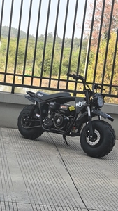 Factory Direct Price Gas Powered 200cc Road Dirt <b>Bike</b> Fat Tire Adults Strong Power 4 Stroke <b>Engine</b> Max Speed <40km/h Made China - Product Image 6