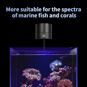 <span class=keywords><strong>Lampe</strong></span> <span class=keywords><strong>LED</strong></span> WEEK AQUA pour <span class=keywords><strong>aquarium</strong></span>, lumière bleue pour récif, lumière marine pour corail, <span class=keywords><strong>lampe</strong></span> pour <span class=keywords><strong>eau</strong></span> salée et <span class=keywords><strong>eau</strong></span> douce, pour <span class=keywords><strong>aquarium</strong></span> <span class=keywords><strong>de</strong></span> récif <span class=keywords><strong>de</strong></span> <span class=keywords><strong>mer</strong></span> rouge - Product Image 2