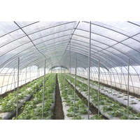 Tente de serre de tunnel de jardin en plastique renforcé solaire passif en polycarbonate solaire dôme