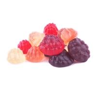 Gummies pour adultes OEM à marque privée sans sucre avec L-Tryptophane, 5-HTP, Magnésium, Ashwagandha, pour le sommeil, sans mélatonine