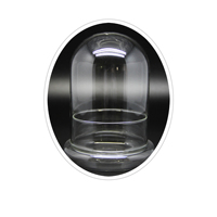 Haute qualité Micro paysage éco-bouteille en verre bombé terrarium plantes botaniques vase globe terrarium Vase en mousse