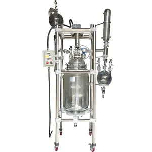 Bioréacteur chemisé de laboratoire 2L 5L 10L 20L pour la fermentation bactérienne