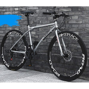 Sepeda Gunung 26 Inch - Product Image 3