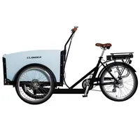 אירופאי משפחה להשתמש 4 ילדי מושב אופניים חשמליים 3 גלגל Trike ילדי מטען אופני למכירה