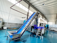Baiyu Automatische Perzik-Stoomschilmachine voor grote fruitverwerkingsfabrieken en de conservenindustrie