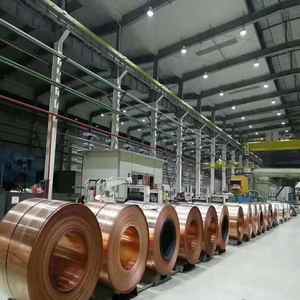 Giá bán buôn đồng <span class=keywords><strong>l</strong></span>á cuộn 200mm 100mm 0.2mm 0.5mm 1mm Dải đồng cho sản phẩm điện tử - Product Image 2