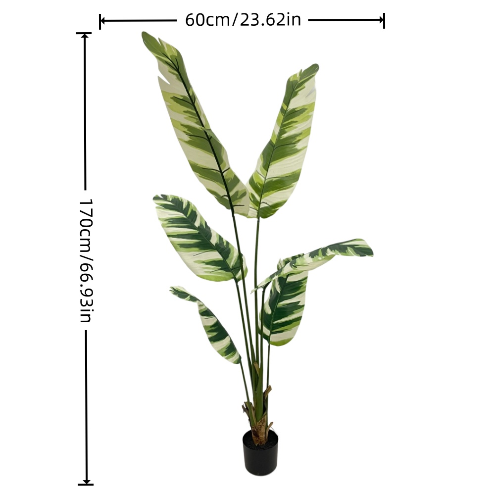 XY2503-1254 170CM