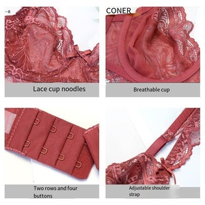 High Quality Sexy Ultra Thin Transparent Lace Lingerie Femme Plus Size <b>Bra</b> for Women - Product Image 4