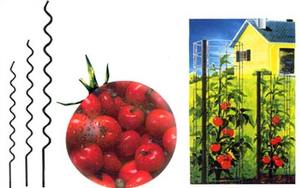 Domates bitki desteği, domates kafesi - Product Image 3